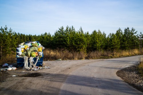 Assessment of land before site clearance